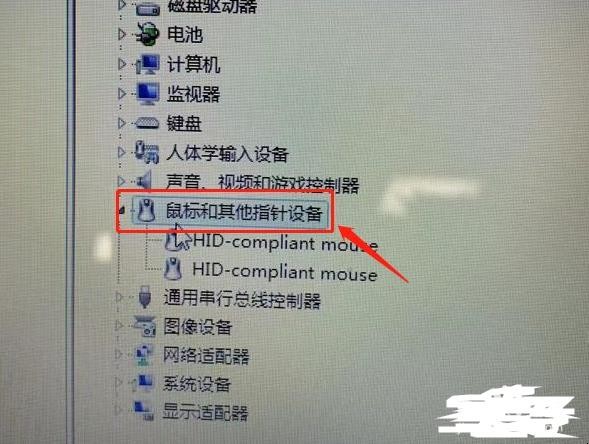 DELL笔记本怎么关闭触摸板