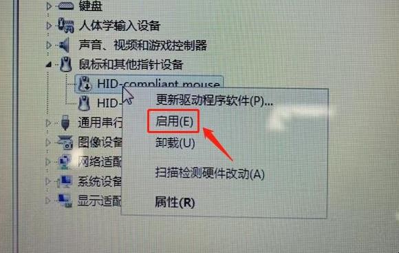 DELL笔记本怎么关闭触摸板